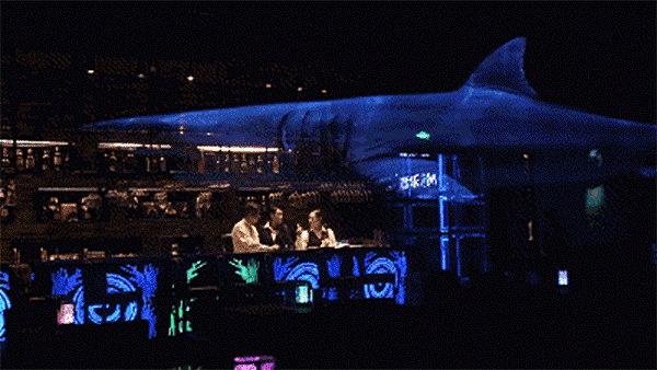 111111.gif