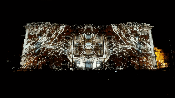 010.gif
