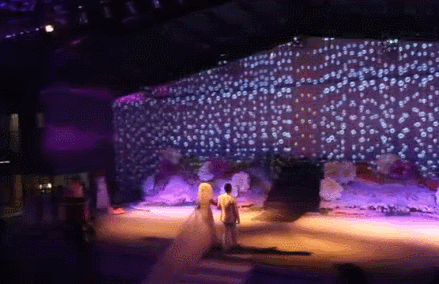115.gif
