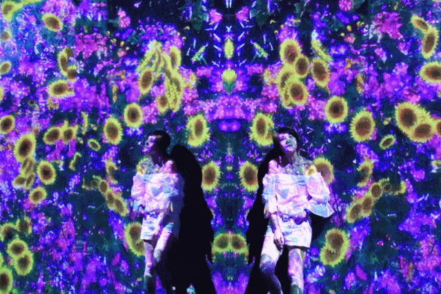 133.gif
