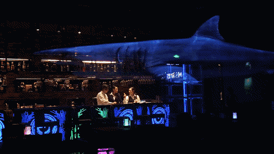 103.gif