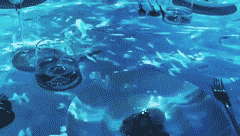 103.gif