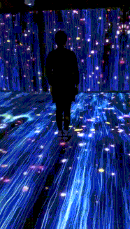 02.gif