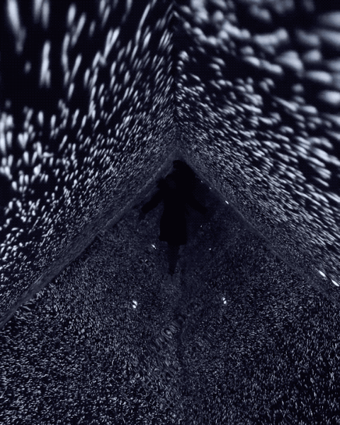101.gif
