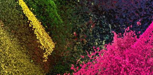 103.gif