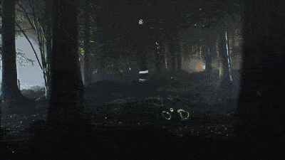 453.gif